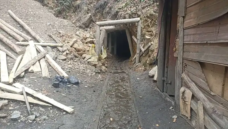 Kaçak Madenler İmha Edildi: Doğal Hayata Verilen Zararı Önleme Çabaları