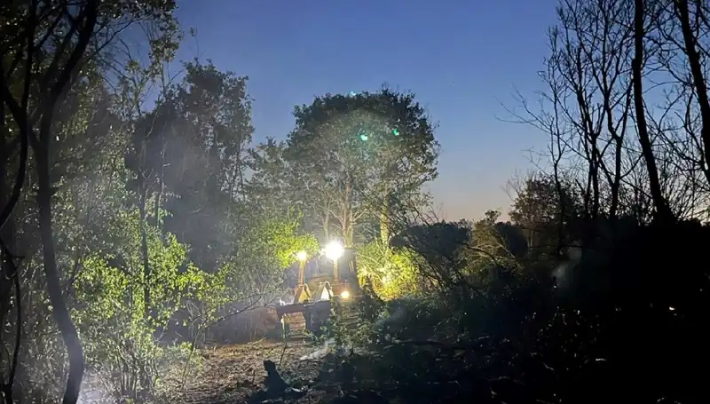 Edirne'de Orman Yangını: Yangın Söndürüldü, Gelecek Tehditler Neler?