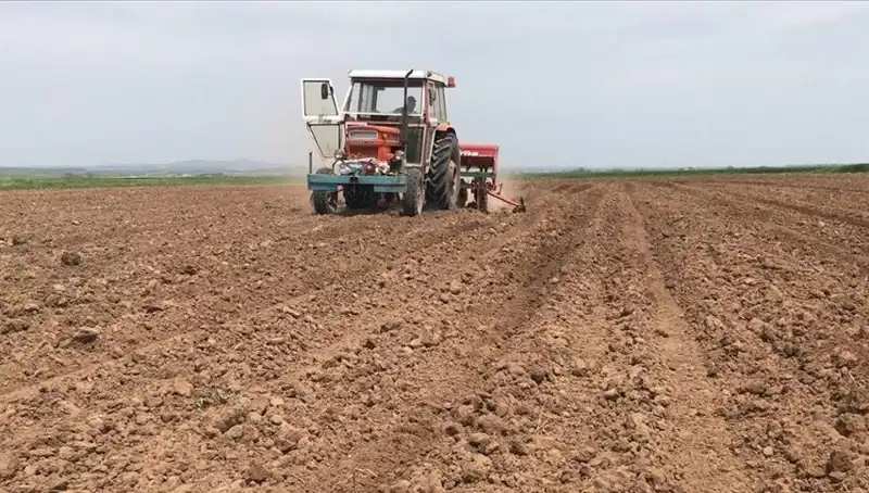 Son 35 Yılda Görülen En Kurak Mart Ayı: Yağışlar Neden Bu Kadar Düşük?