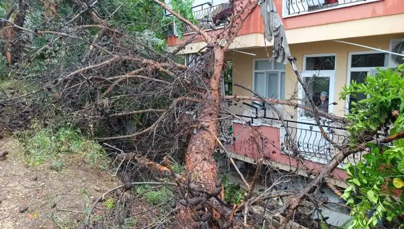 Yağmura Dayanamayarak Devrilen Bina Şehirde Şok Etkisi Yarattı