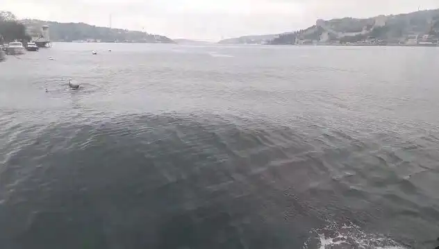 İstanbul Boğazı’nda Dalgalar Yükseliyor: Deniz Tutkunları Ne Yapmalı?