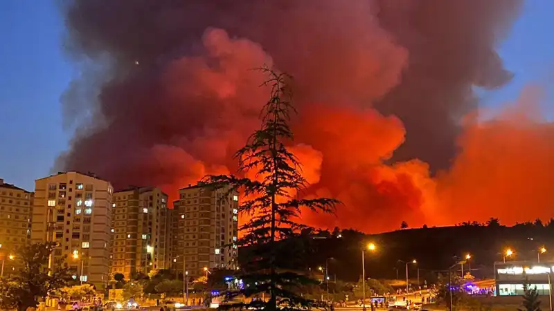 Bursa'da Yangın Alarmları Yükseliyor: Şehir Neden Tehdit Altında?