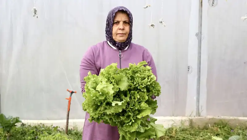 Emekli Olduktan Sonra Hayallerini Gerçekleştirenlerin Yeni Yolu: Devlet Desteğiyle İş Kurmak