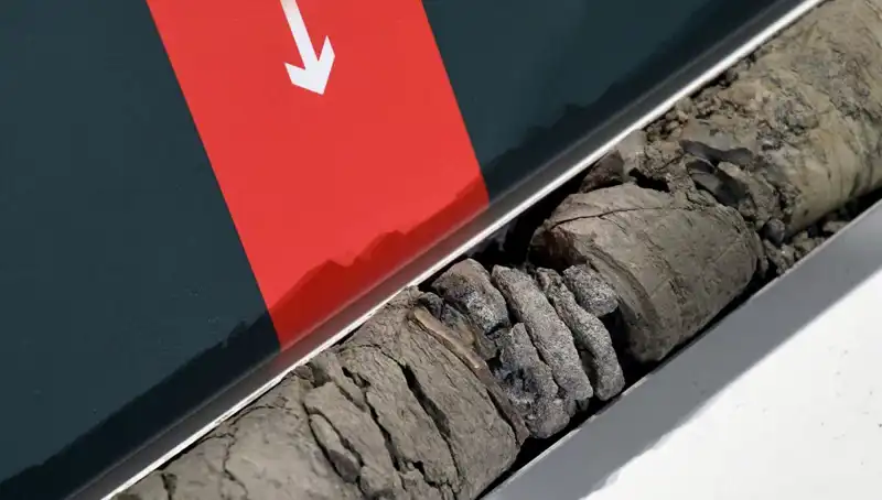Müze Otoparkında Şok Edici Dinozor Fosili Keşfi: Geçmişin İzleri Ortaya Çıktı