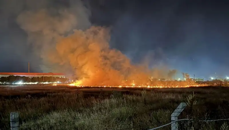 İzmir'de Gece Yarısı Korkutan Yangın: Şans Eseri Can Kaybı Yok