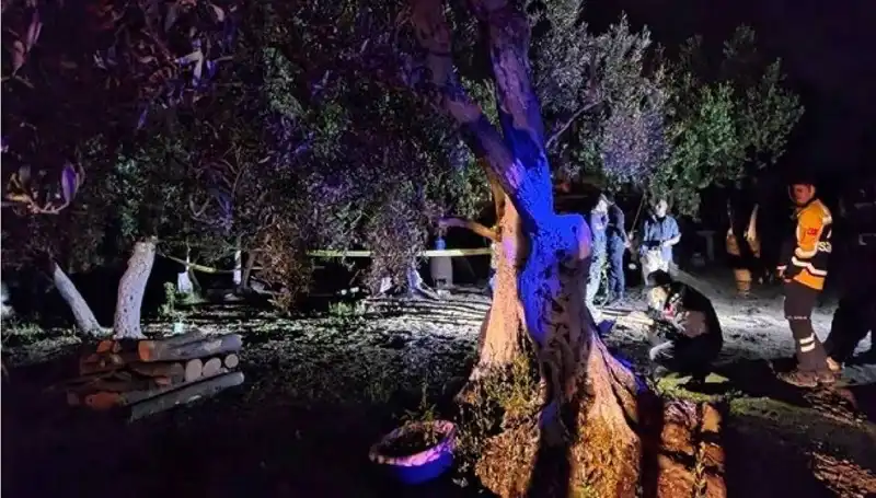 Çiftlikte Baltalı Vahşet: Detaylarda Şok Eden Gelişmeler
