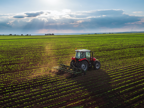 Ekonomik Büyüme Tarımı Kurtaramıyorsa, Neden? İşte Cevapları!