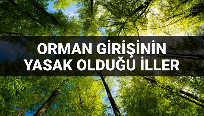 2025'te Ormana Giriş Yasaklanan İller: Bu Şehirlerde Dikkat!