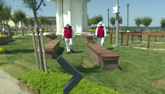 Kene Popülasyonu Artıyor: Halka Açık Alanlarda İlaçlama Uygulamalarına Başlandı