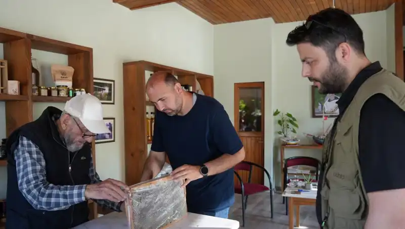 Sağlık Defteri: Bir Çay Kaşığıyla Gelen Hem Şifa Hem de Tehlike