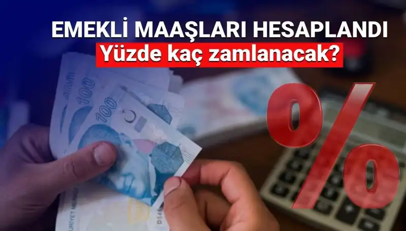 Emekli Zammı Beklentileri: 2024 Yılı İçin Miktar Ne Olacak?