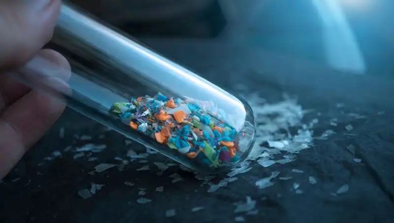 Mikroplastikler İnsan Beynine Ulaştı: Sağlığımızı Tehdit Eden Gerçekler