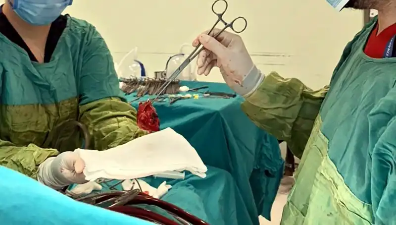 Kalp Kapağı Çürüyen Hastaya 7 Saatlik Ameliyat: "Mucizevi Bir Olay"