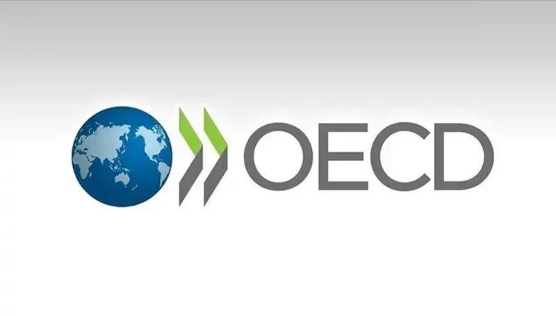 OECD, Türkiye’nin Ekonomi Büyümesi İçin Umut Verici Tahminlerde Bulundu