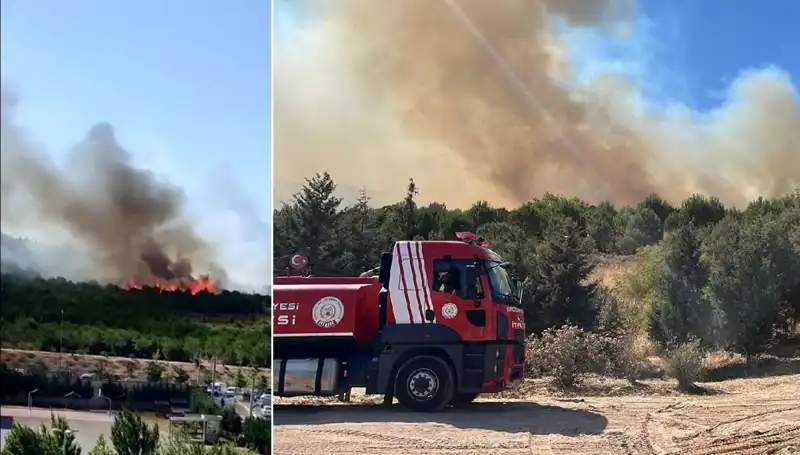 Gebze'de Ortaya Çıkan Orman Yangını Korkuttu! Tehlike Büyüyor
