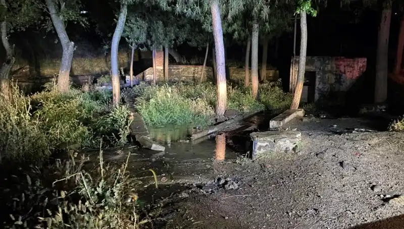 Manisa'da Parkta Sır Ölüm: Olay Yerinde Şok Eden Detaylar