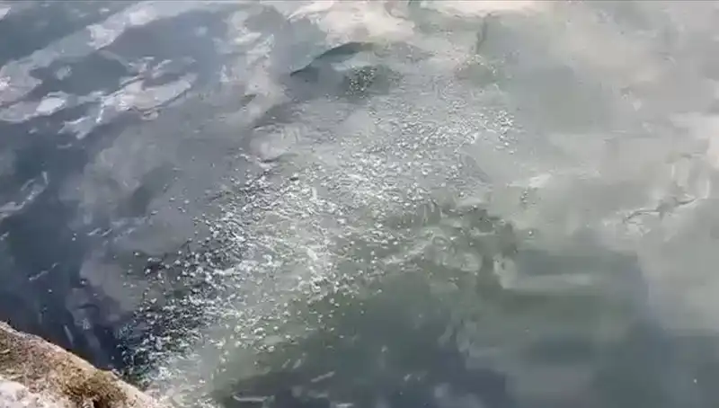 İstanbul Su İdaresi'ne 2,6 Milyon Lira Ceza Kesildi: İşte Sebebi!